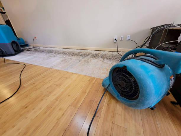 Professional Water Removal technician working in Marshville, NC